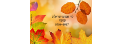 אונגלס בע''מ