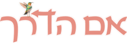 קורסים