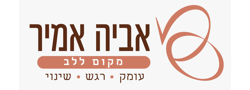 אביה אמיר